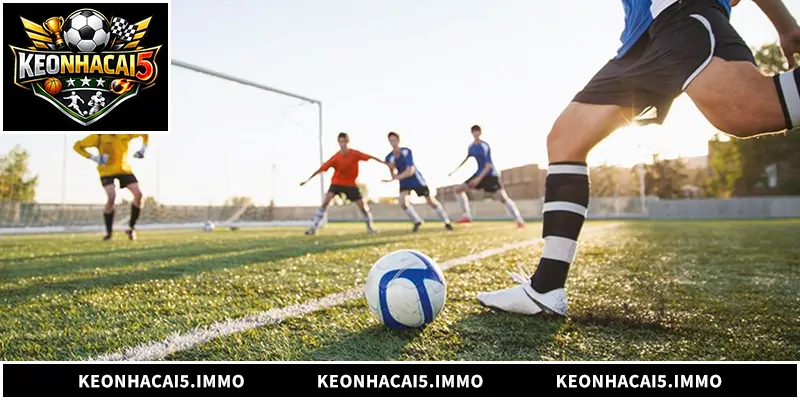 1gom - Nền Tảng Cá Cược Và Soi Kèo Bóng Đá Hàng Đầu Khám phá chi tiết nền tảng 1gom